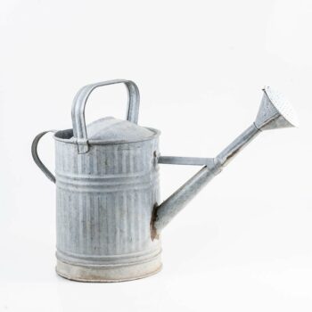 Grand arrosoir en zinc