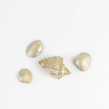 Lot coquillages dorés