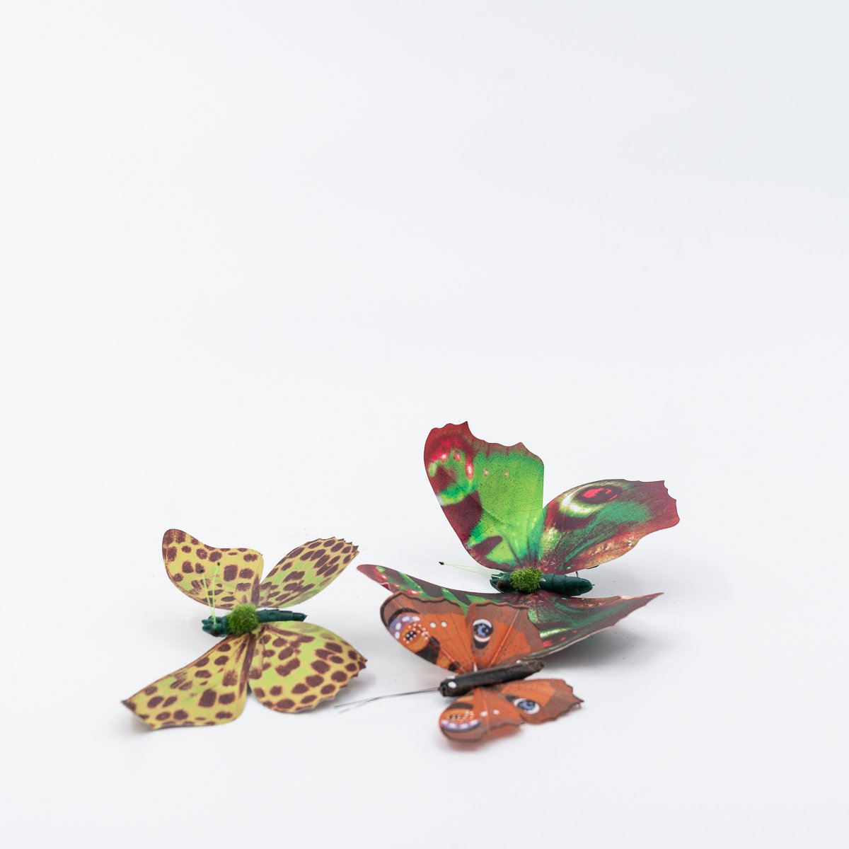 Lot de papillons multicolores en papier