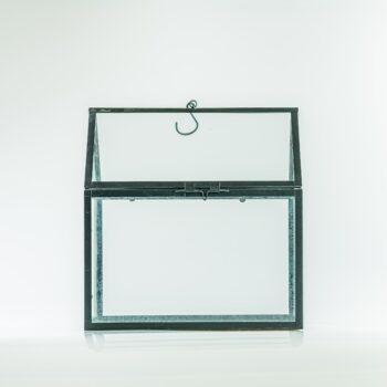 Petite serre en métal noir et verre