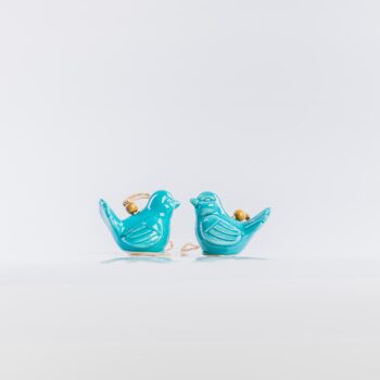 Duo d'oiseaux turquoise