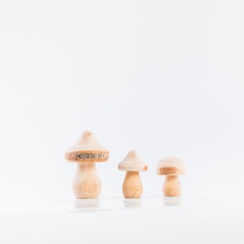 Trio de champignons en bois