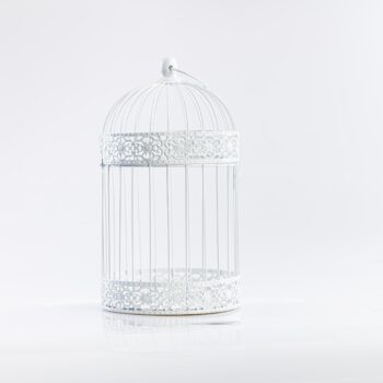 Cage à oiseaux blanche