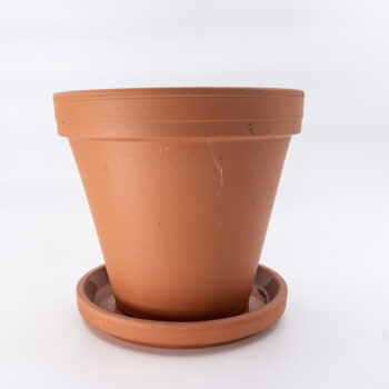 Pot en terre cuite