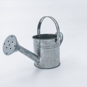 Mini arrosoir en zinc