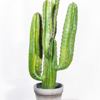 Faux cactus en pot