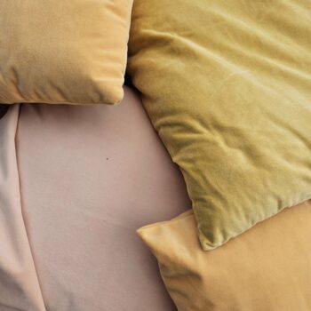 Coussin jaune (variable)