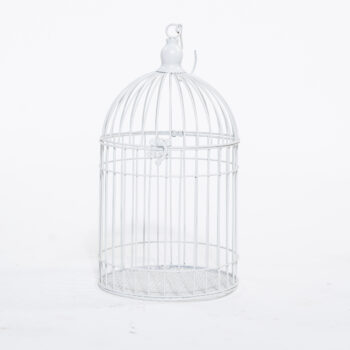 Cage à oiseaux blanche
