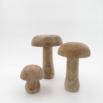 Trio de champignons en bois teck