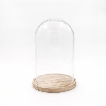 Cloche en verre L sur socle en bois
