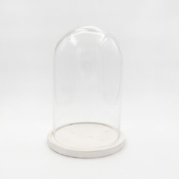 Cloche en verre L sur socle blanc