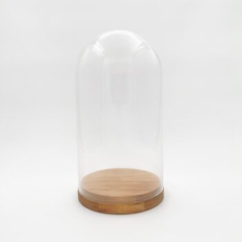 Cloche en verre L sur socle en bois style teck