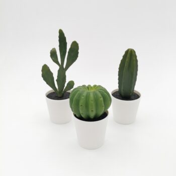 Trio de faux cactus