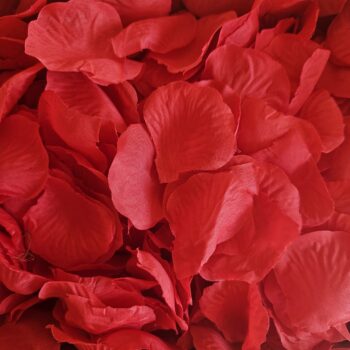 Boite de pétales de roses rouges en tissu - article en vente